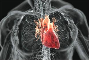 Kardiovaskularne bolesti